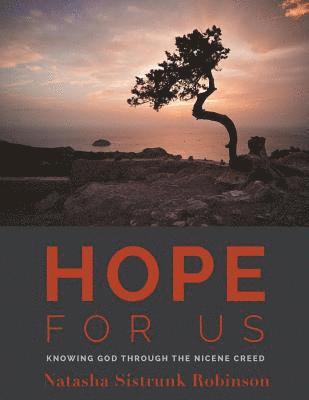 bokomslag Hope for Us: Knowing God through the Nicene Creed