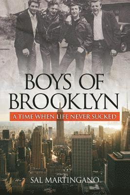 bokomslag Boys of Brooklyn: A Time When Life Never Sucked