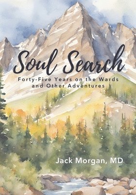 bokomslag Soul Search: Forty-Five Years on the Wards and Other Adventures