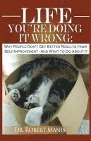 bokomslag Life - You're Doing It Wrong: Why People Don't Get Better Results from Self-Improvement... and What to Do about It