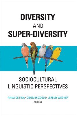 Anna De Fina, Didem Ikizoglu, Jeremy Wegner - Diversity and Super-Diversity, Inbunden