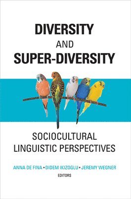 Anna De Fina, Didem Ikizoglu, Jeremy Wegner - Diversity and Super-Diversity, Häftad