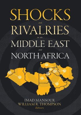 bokomslag Shocks and Rivalries in the Middle East and North Africa