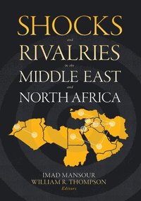 bokomslag Shocks and Rivalries in the Middle East and North Africa