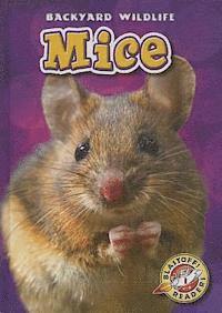Kari Schuetz - Mice, Inbunden