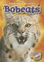 bokomslag Bobcats
