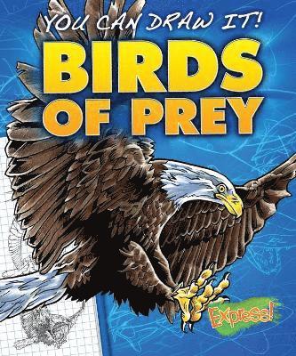 Birds of Prey 1