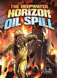 bokomslag Deepwater Horizon Oil Spill