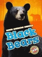 bokomslag Black Bears