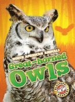 Christina Leaf - Great Horned Owls, Inbunden