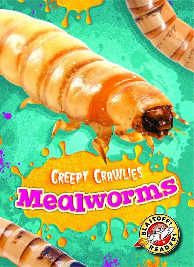 Kari Schuetz - Mealworms, Inbunden