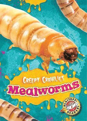 bokomslag Mealworms