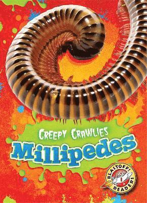 bokomslag Millipedes