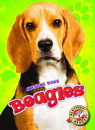 bokomslag Beagles