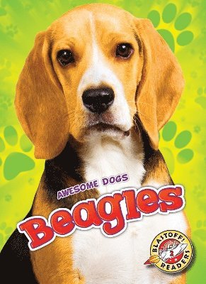 Beagles 1