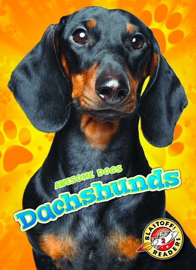 Mari Schuh - Dachshunds, Inbunden