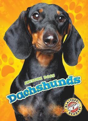 bokomslag Dachshunds