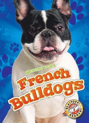 bokomslag French Bulldogs