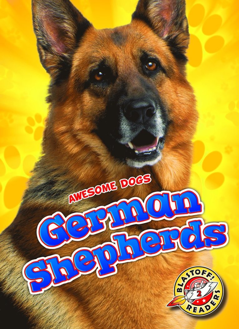 German Shepherds 1