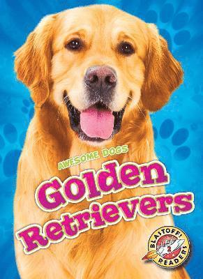 Golden Retrievers 1