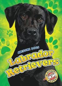 bokomslag Labrador Retrievers