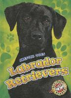 bokomslag Labrador Retrievers Labrador Retrievers