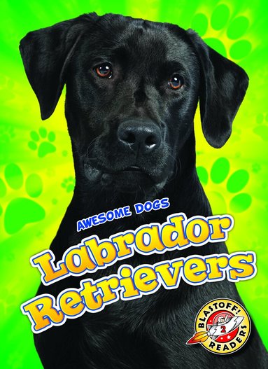 Chris Bowman - Labrador Retrievers, Inbunden
