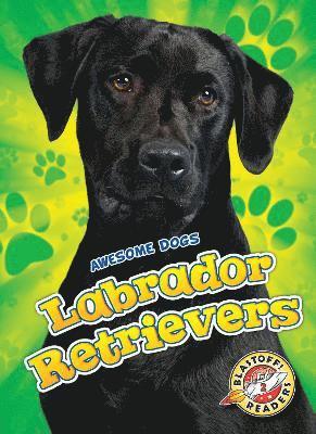 Labrador Retrievers Labrador Retrievers 1