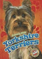bokomslag Yorkshire Terriers