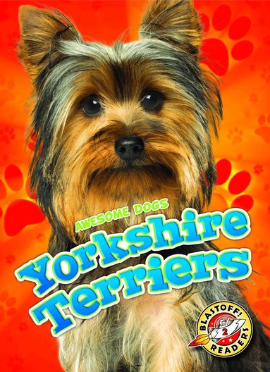 Mari Schuh - Yorkshire Terriers, Inbunden