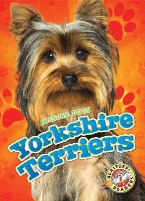 bokomslag Yorkshire Terriers