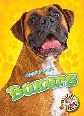 bokomslag Boxers