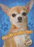 bokomslag Chihuahuas