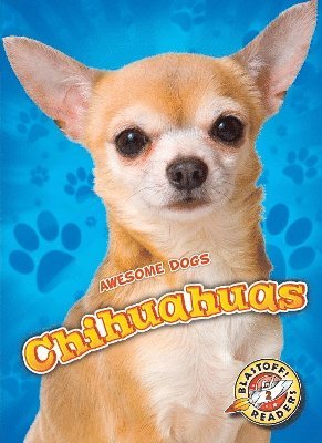 bokomslag Chihuahuas