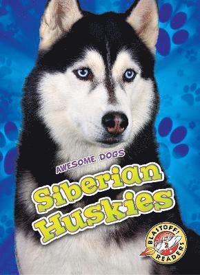 Siberian Huskies 1