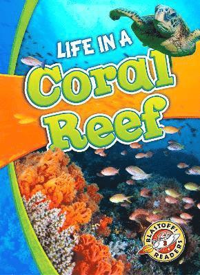 Life in a Coral Reef 1