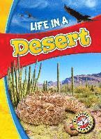 Life in a Desert 1