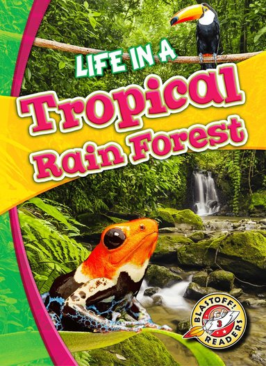 Kari Schuetz - Life in a Tropical Rain Forest, Inbunden