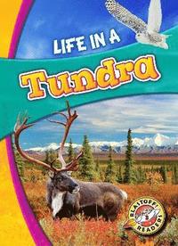 bokomslag Life in a Tundra