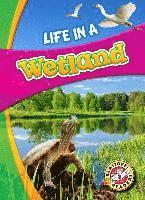 bokomslag Life in a Wetland