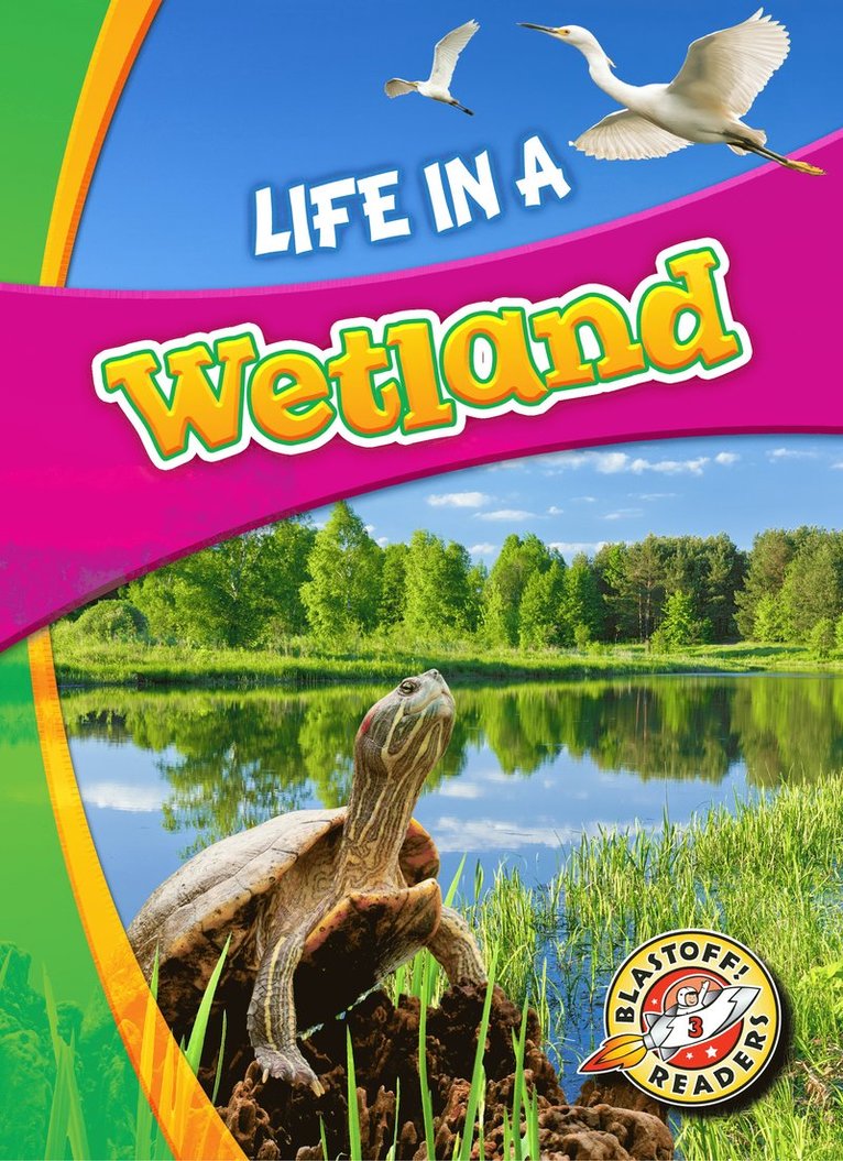 Life in a Wetland 1