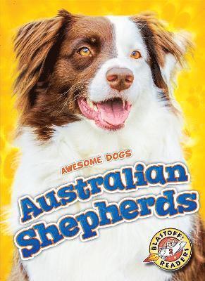 Australian Shepherds 1