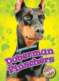 bokomslag Doberman Pinschers