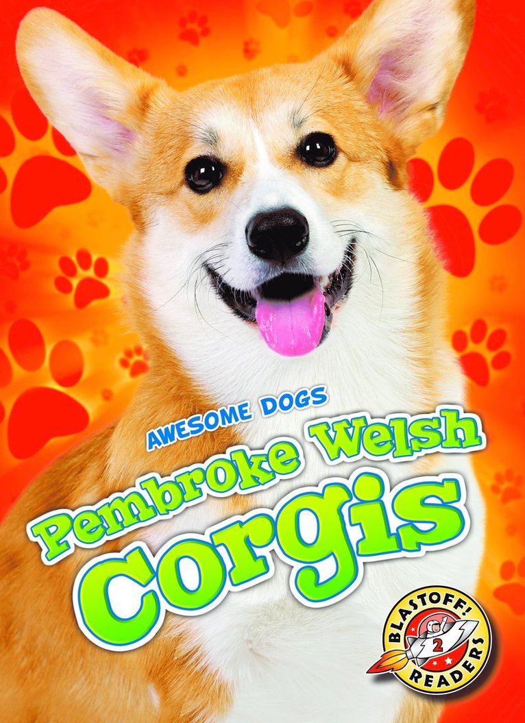 Pembroke Welsh Corgis 1