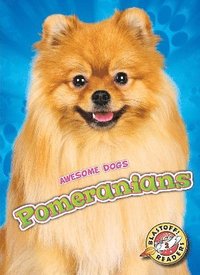 bokomslag Pomeranians