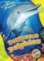 bokomslag Bottlenose Dolphins