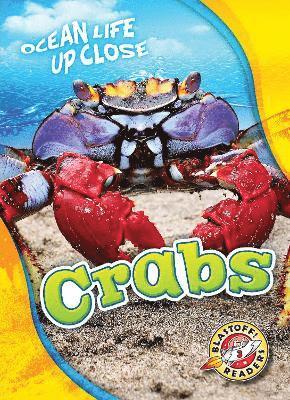Rebecca Pettiford - Crabs, Inbunden