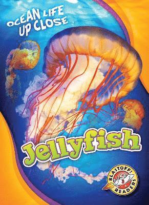 bokomslag Jellyfish