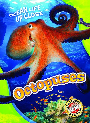Christina Leaf - Octopuses, Inbunden