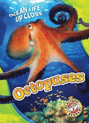 bokomslag Octopuses